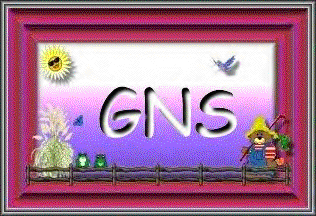 gns.bmp (69334 bytes)